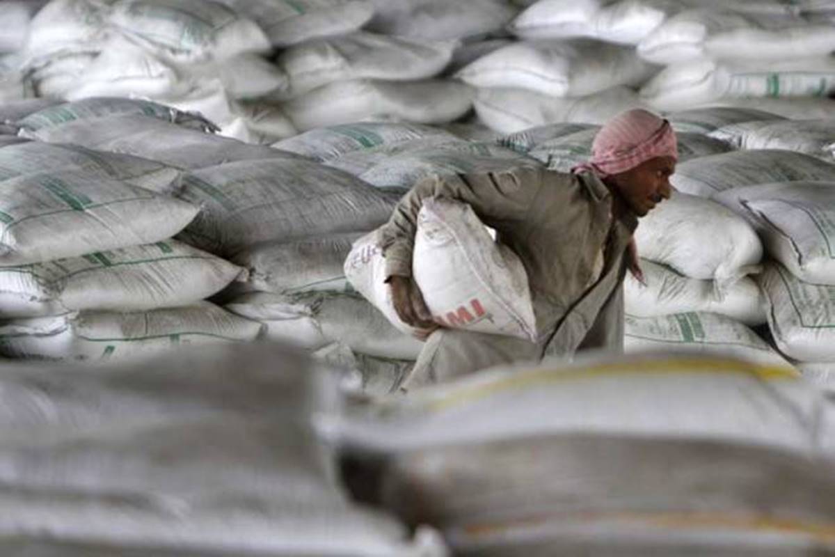 Cement stocks rally today; ACC, Shree Cement, JK Cement, Ramco Cements hit 52-week highs